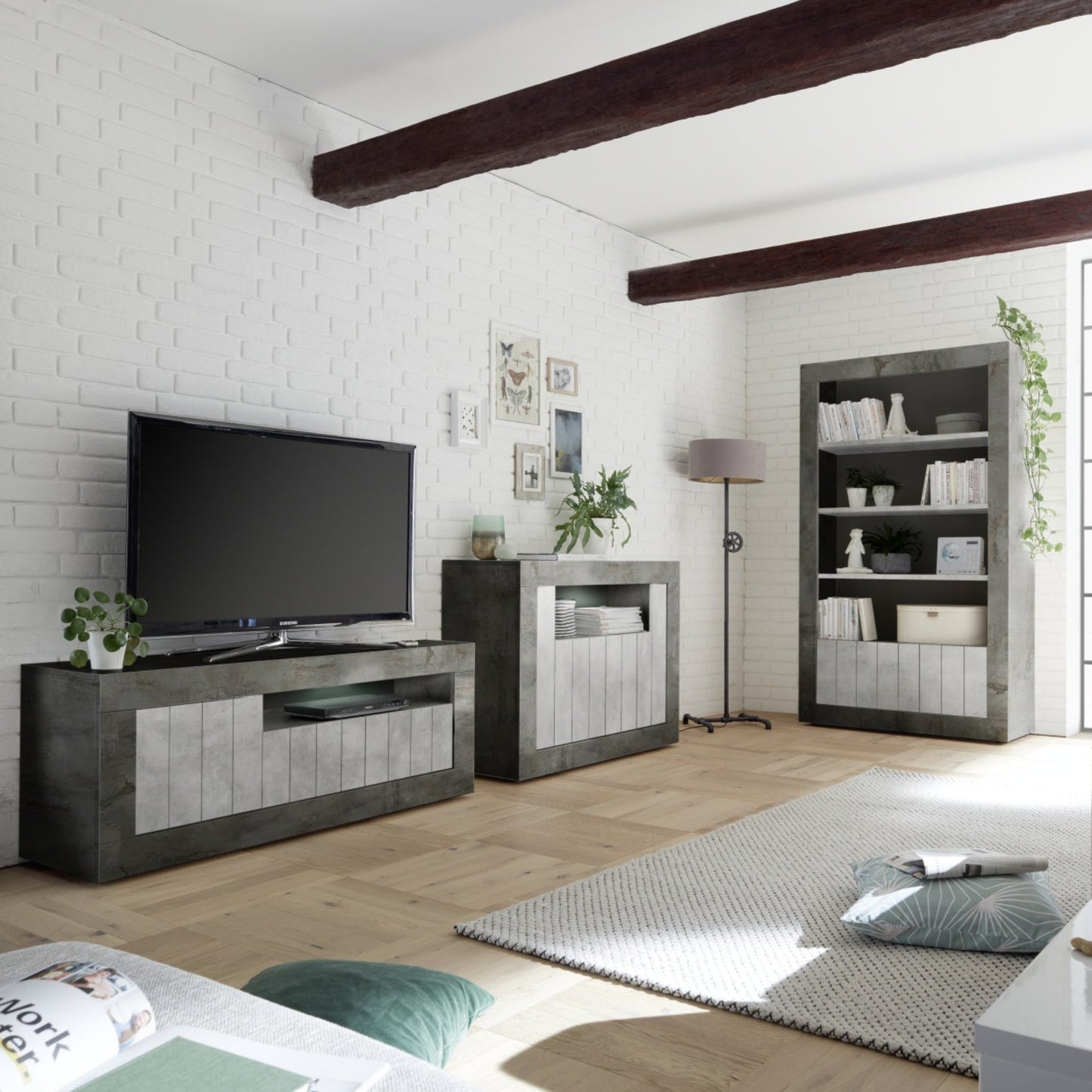 Modern living room with a TV stand, bookshelf, and sofa.