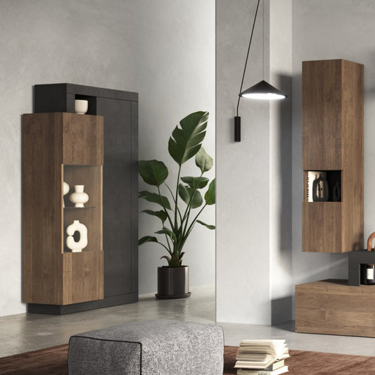 Forenza Display Cabinet, Two Doors - Brown Lava and Dark Oak Finish